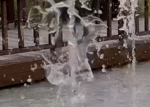 为创作者而生，由创作者定义：三星Galaxy S26 Ultra支持专业级APV编解码器